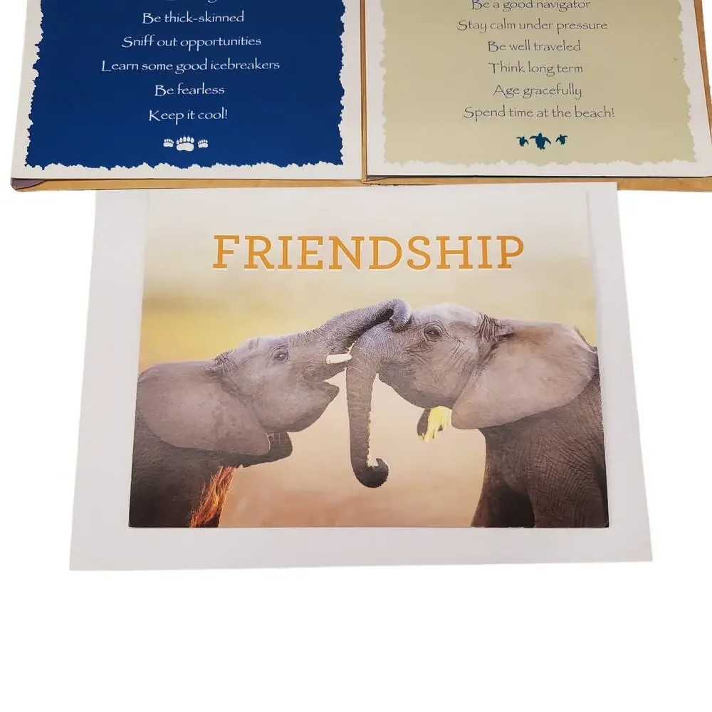 Your True Nature Animal Greeting Cards Polar Bear Sea Turtle Elephant Friends